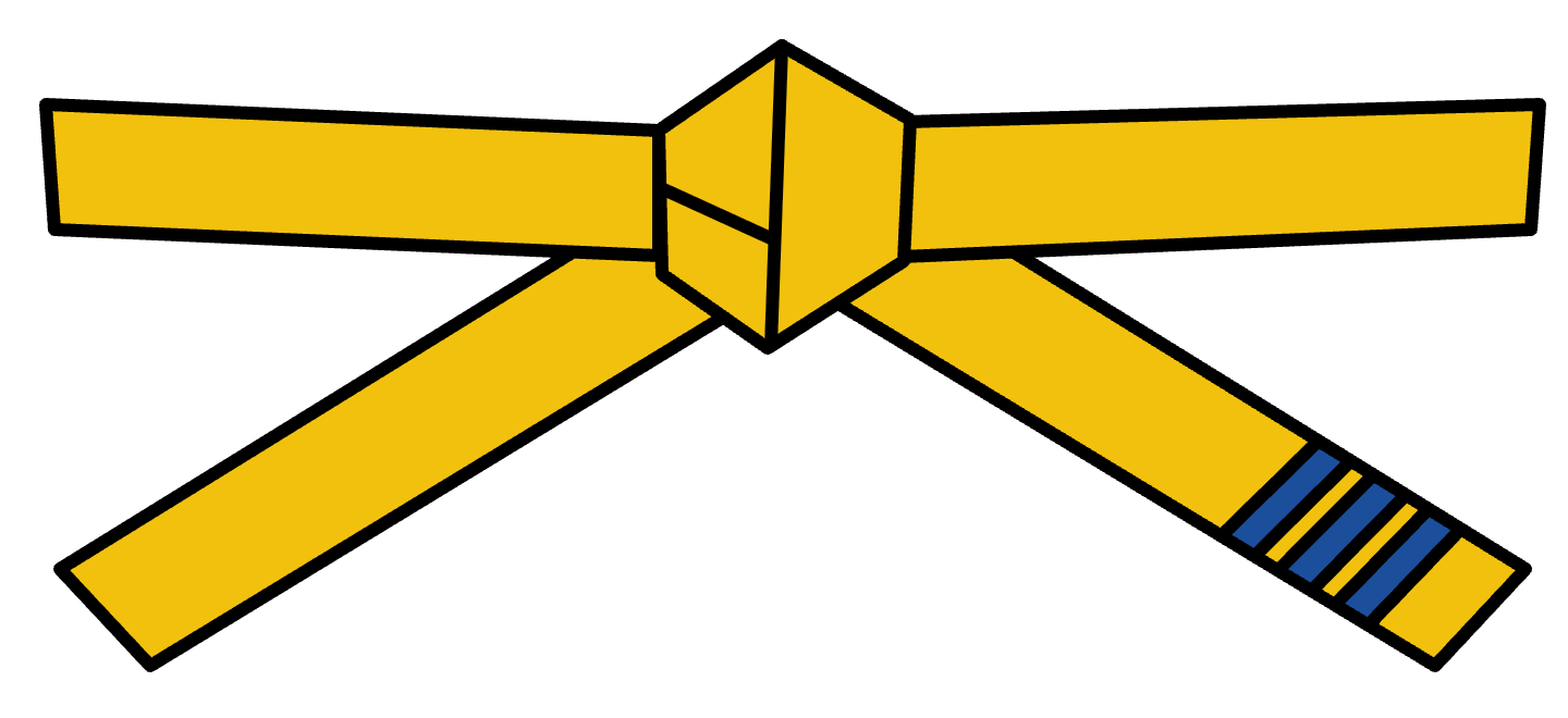 Yellow 3 (7th Gup 급)