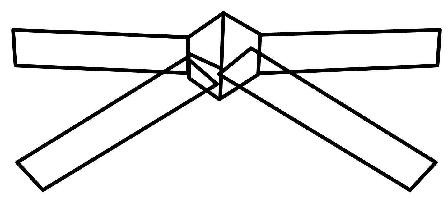 You start here – White Belt (10th Kup 급)