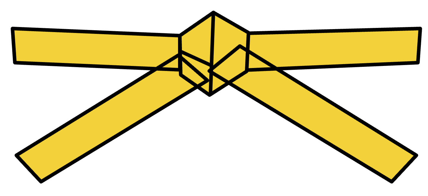 Yellow – 8th Kup (급)